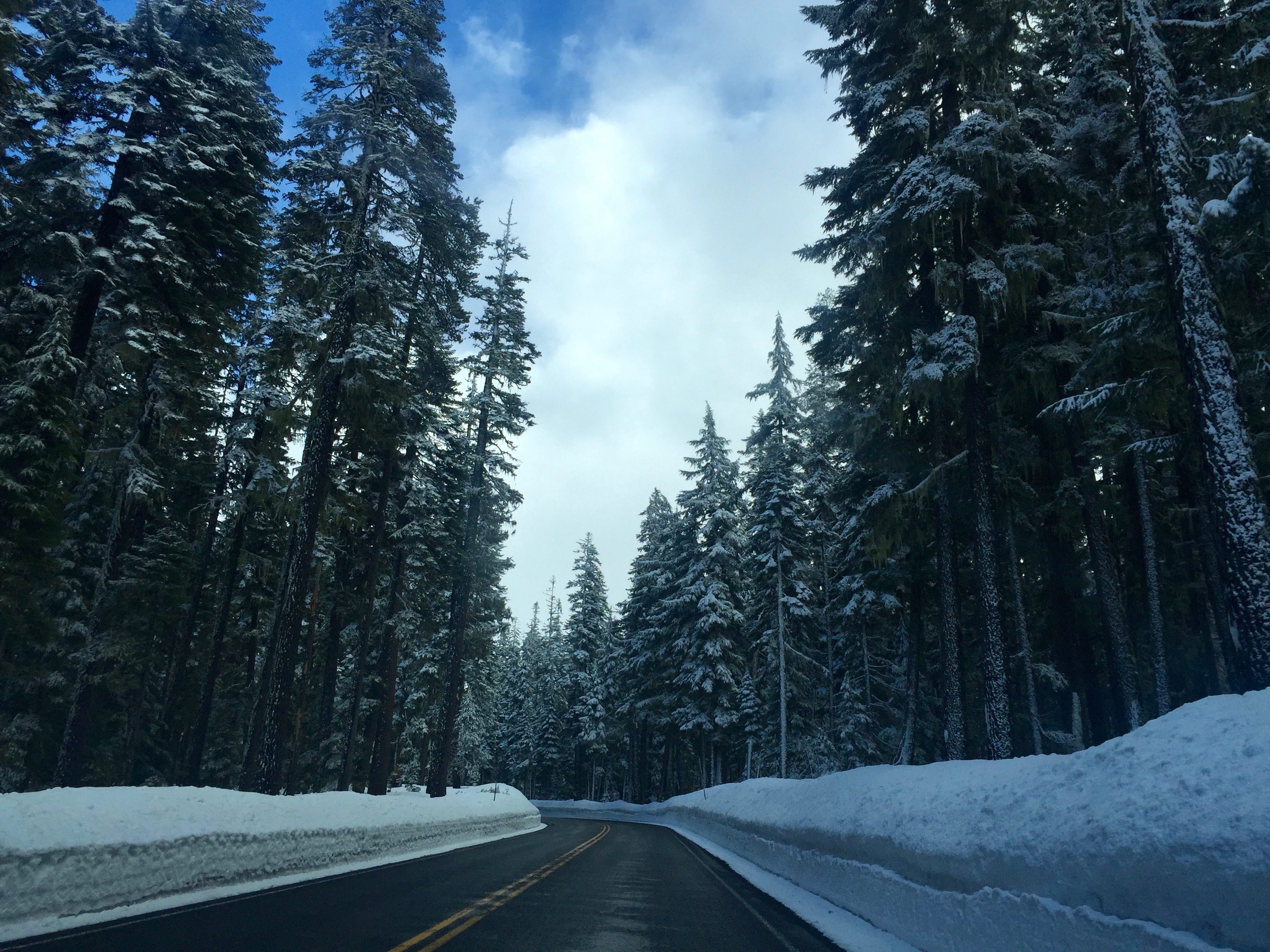 Pacific Northwest Roadtrip Photo Diary